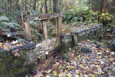 Old water race infrastructure graham t