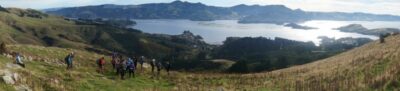 20 may hereweka track trampers beautiful view of otago harbour. photo & caption john