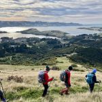 20 may hereweka track trampers square