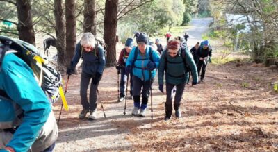 20 may hereweka track trampers starting up the hereweka track hill. photo & caption jane