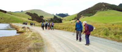 20 may hereweka track trampers walking around hoopers inlet. photo & caption jane