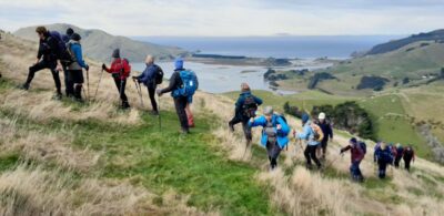 20 may hereweka track trampers yes, it really is this steep going up the side of harbour cone photo & caption jane
