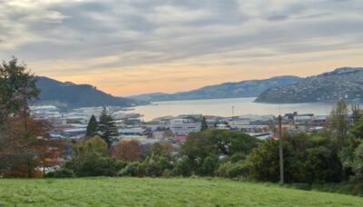 20 may town belt hikers view from morning tea. photo &amp; caption helen