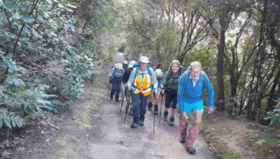 29 apr signal hill burns reserve trampers a gentle climb up rimu st trackphoto & caption pam.jpg