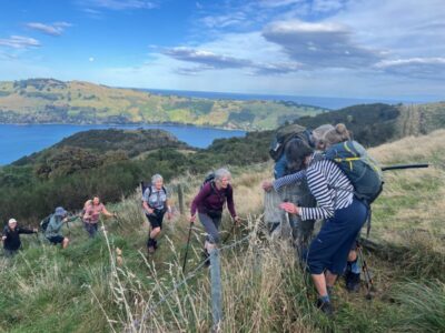 29 apr signal hill burns reserve trampers bryan’s stile causing some interest with its swinging door. photo & caption pam