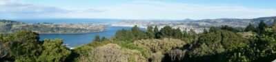29 apr signal hill burns reserve trampers signal hill from ravensbourne tramp. photo & caption john