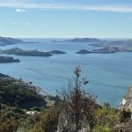 29 apr signal hill burns reserve trampers upper harbour looking its best squarephoto &amp; caption graeme