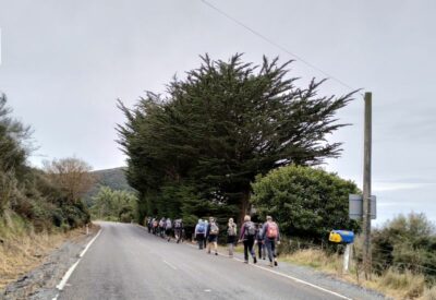 24 june grahams bush etc trampers along mt cargill rd at a fast (6 kph) clip. photo & caption alison