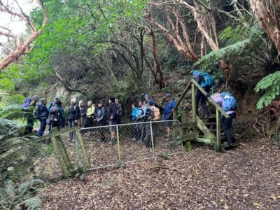 24 june grahams bush etc trampers at the start of grahams bush track photo & caption pam