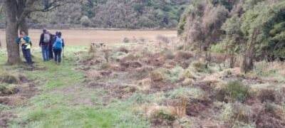 24 june taieri hikers ferry to john bull gully lunch stop at john bull gully popular with the porcine population too it appeared!!photo & caption barbara