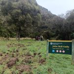 24 june taieri hikers ferry to john bull gully square photo photo &amp; caption janette