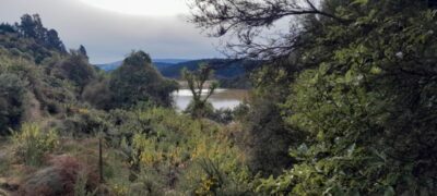 24 june taieri hikers ferry to john bull gully view west on the way out.photo & caption barbara