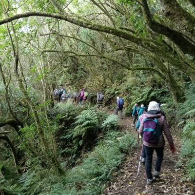 24 june taieri hikers ferry to john bull gully to the long and winding road (after morning tea) photo & caption phil