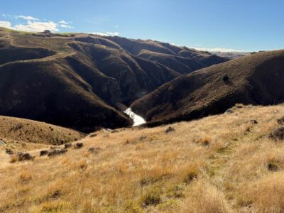 Looking back on the winter sun catching this section of deep stream tony