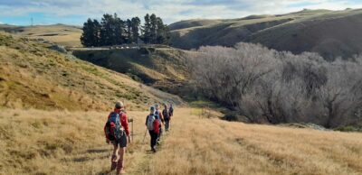 The cars in sight as we return to sh87 deep stream bridge 3.08 pm (2) jane