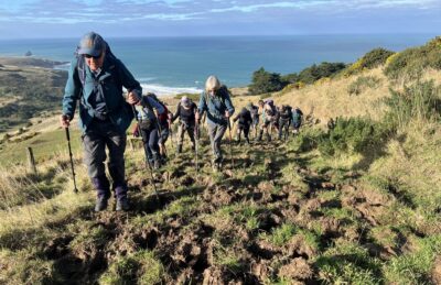 Walking on tops of craters caused by cow pugging. caption and photo pam