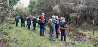 20260715 top of leishmans pausing on the forestry road before we continue to the powder hill trig 11.33 am.