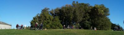800 dsc08825a