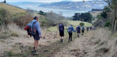 800 Harbour views going down Greenacres track