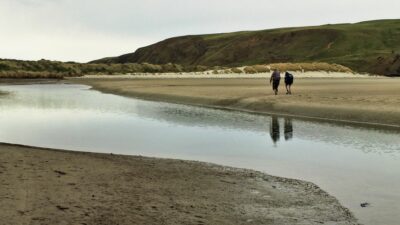 Bodie and harry on the wrong side of the water rhonda wilson