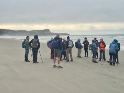 Helen a gathering on a calm morning on the beach