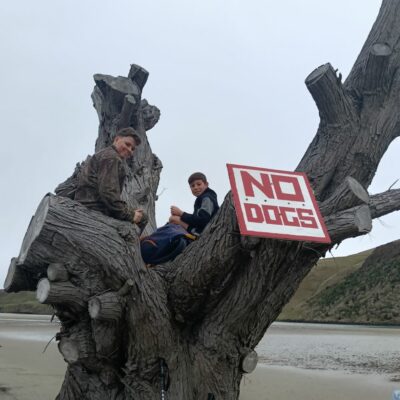 Boys allowed, no dogs allowed phil k