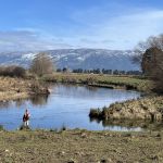 5 Aug Silverstream combined Square photo Photo & caption Helen