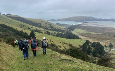 Heading down farm track from Heyward Rd to Aramoana road. Caption and photo Pam