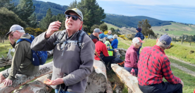 2 Sep Lawrence Foraging for morning tea on Wetherstons Rd. Apparently huhu grubs taste like parsnips.Photo & caption Jane.jpg