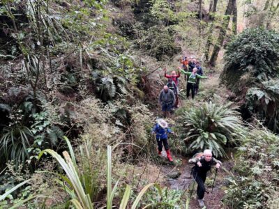 2 Sep Lawrence Happy trampers amongst the ferns on Munro’s track. Photo & caption Pam