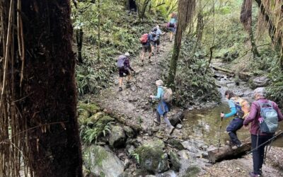 One of many creek crossings. Caption and photo Pam