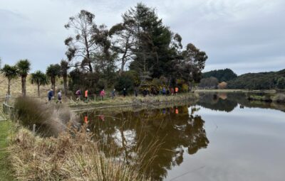 Reflections Livingstone Wetlands. Caption and photo Pam