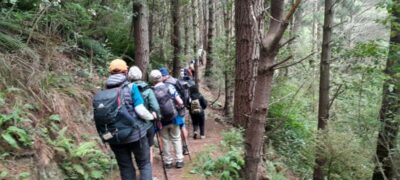 28 Oct Bethunes Gully Hikers In Out Track above Cluny St entrance to Bethunes Gully.. Photo & caption barbara