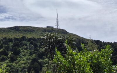 28 Oct Bethunes Gully Hikers View from lunch spot. Photo &amp; caption Helen