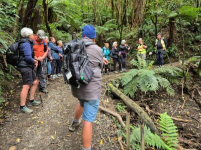 28 Oct Bethunes Gully Hikers. Photo Helen
