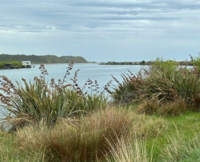 7 Oct Inchclutha Matua north branch Inch Clutha Photo & caption Graeme