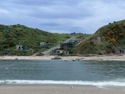 7 Oct Inchclutha combined The whitebait were running Photo & caption Heather