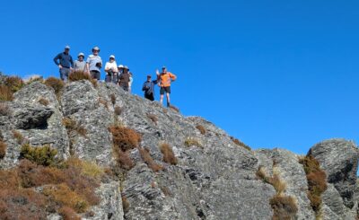 A herd of mountain goats on top of Pulpit Rock Caption and photo Sarah