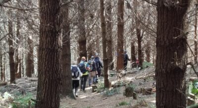 An easy descent through the forestry block Caption and photo Chris