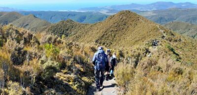 Easier on the way back Rosella Ridge and Blueskin Bay in distance @ 1.05 pm Caption and photo John