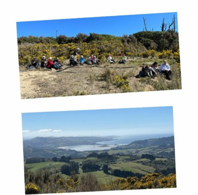 Lunch in the gorse patch, with a view. Caption and photo Sandra