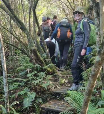 Slippery board walk steps went up and up on the Cloud Forests of the Leith Track Caption and photo Chris