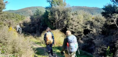 Starting off along the Green Ridge track Pulpit Rock in the distance @ 10.28 am Caption and photo Jane