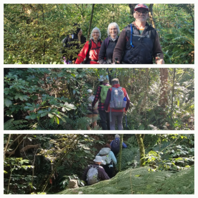 Wending our way through the lovely Moores Bush Caption and photo Chris
